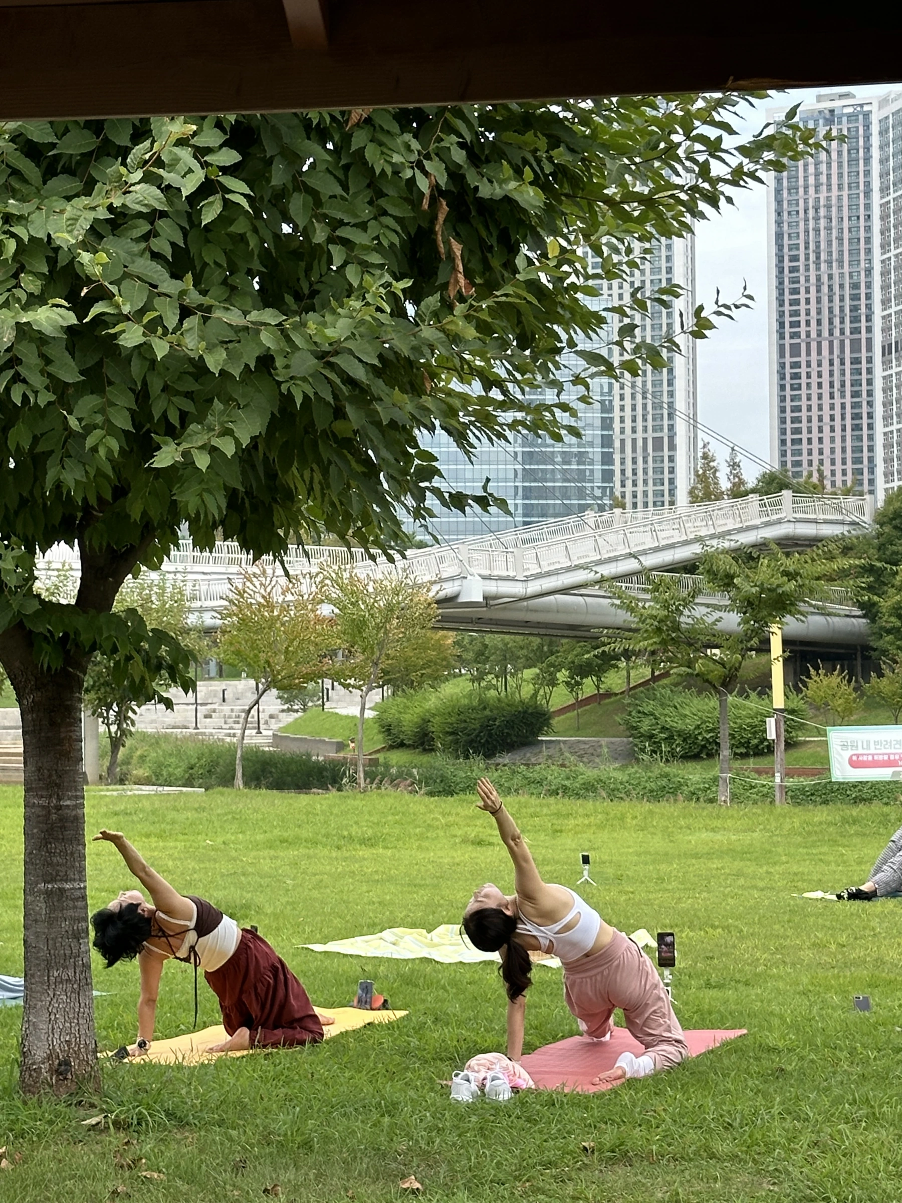 야외 잔디 위에서 진행하는 요가 클래스